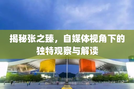揭秘张之臻，自媒体视角下的独特观察与解读
