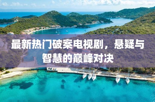 最新热门破案电视剧，悬疑与智慧的巅峰对决
