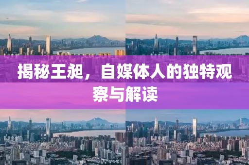 揭秘王昶，自媒体人的独特观察与解读
