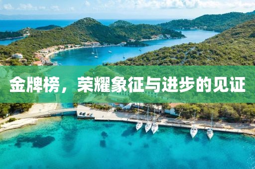 金牌榜，荣耀象征与进步的见证