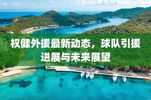 权健外援最新动态，球队引援进展与未来展望
