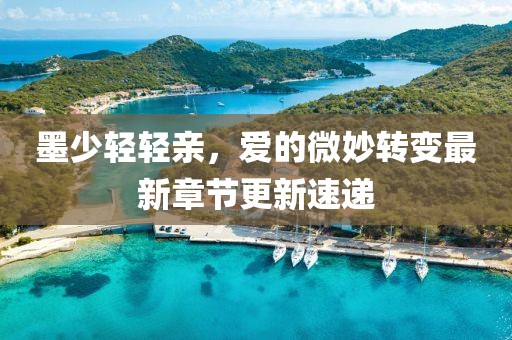 墨少轻轻亲，爱的微妙转变最新章节更新速递