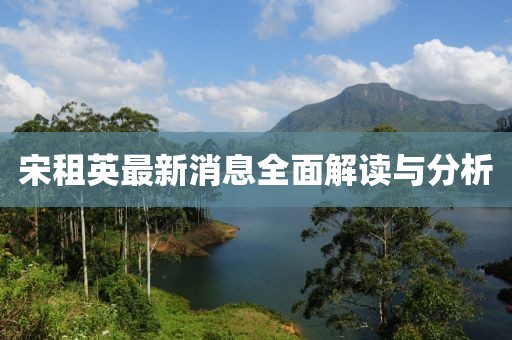 宋租英最新消息全面解读与分析