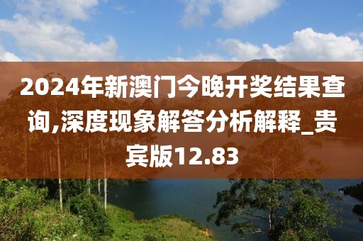 2024年新澳门今晚开奖结果查询,深度现象解答分析解释_贵宾版12.83