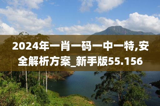 2024年一肖一码一中一特,安全解析方案_新手版55.156
