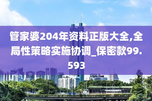 管家婆204年资料正版大全,全局性策略实施协调_保密款99.593