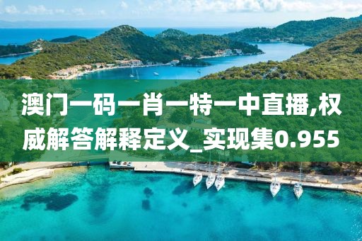 澳门一码一肖一特一中直播,权威解答解释定义_实现集0.955