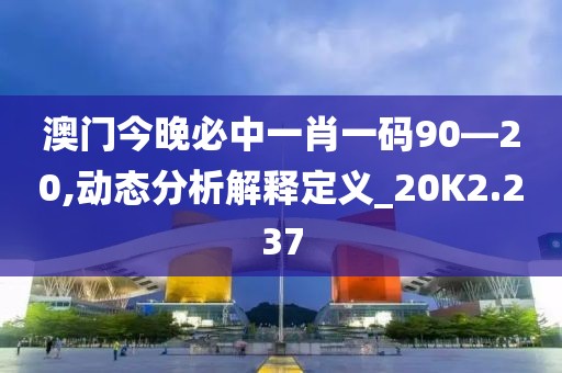 澳门今晚必中一肖一码90—20,动态分析解释定义_20K2.237