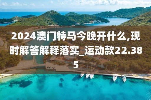 2024澳门特马今晚开什么,现时解答解释落实_运动款22.385
