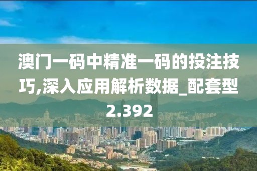澳门一码中精准一码的投注技巧,深入应用解析数据_配套型2.392