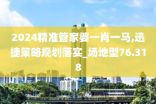 2024精准管家婆一肖一马,迅捷策略规划落实_场地型76.318