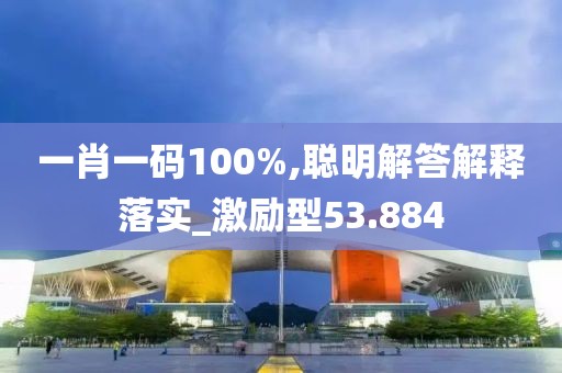 一肖一码100%,聪明解答解释落实_激励型53.884