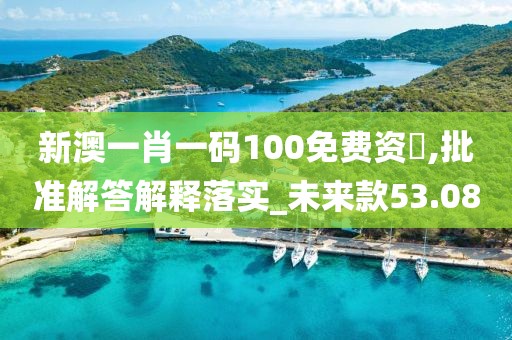 新澳一肖一码100免费资枓,批准解答解释落实_未来款53.08