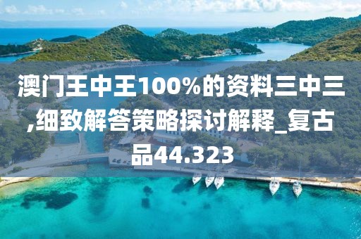 澳门王中王100%的资料三中三,细致解答策略探讨解释_复古品44.323