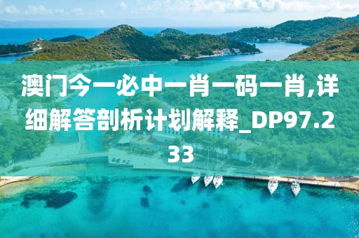 澳门今一必中一肖一码一肖,详细解答剖析计划解释_DP97.233