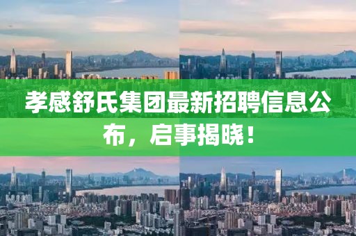 孝感舒氏集团最新招聘信息公布，启事揭晓！