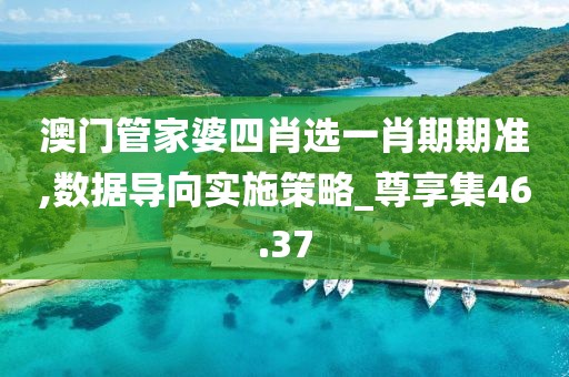 澳门管家婆四肖选一肖期期准,数据导向实施策略_尊享集46.37
