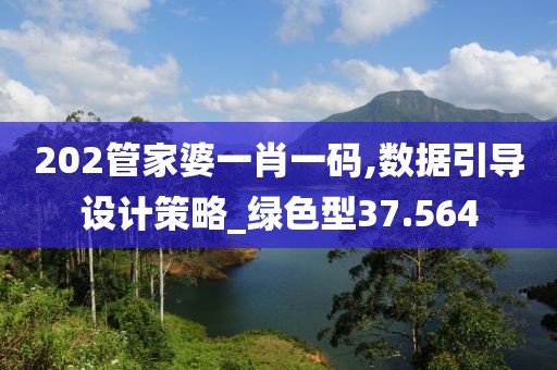 202管家婆一肖一码,数据引导设计策略_绿色型37.564