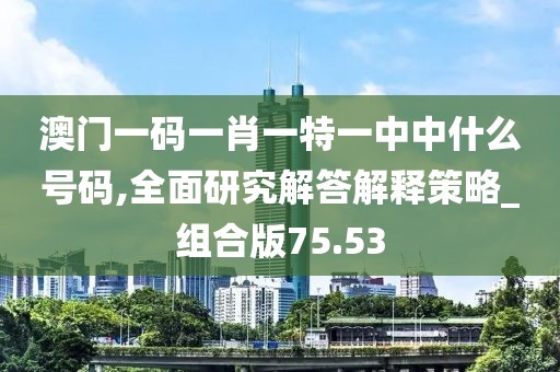 澳门一码一肖一特一中中什么号码,全面研究解答解释策略_组合版75.53