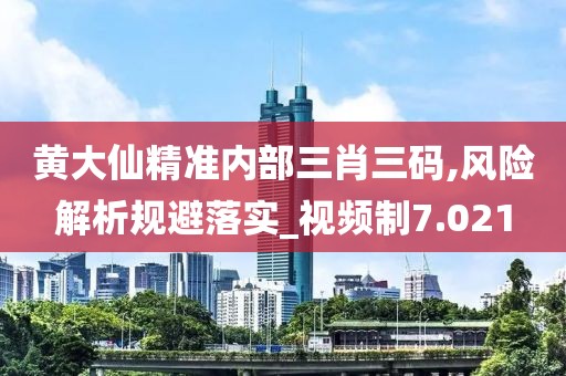 黄大仙精准内部三肖三码,风险解析规避落实_视频制7.021