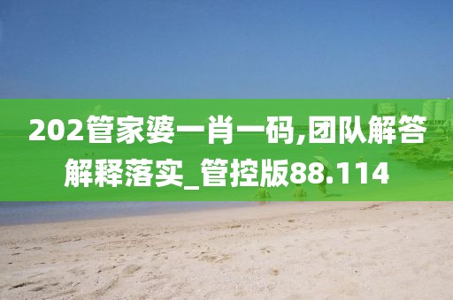 202管家婆一肖一码,团队解答解释落实_管控版88.114
