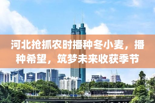 河北抢抓农时播种冬小麦，播种希望，筑梦未来收获季节