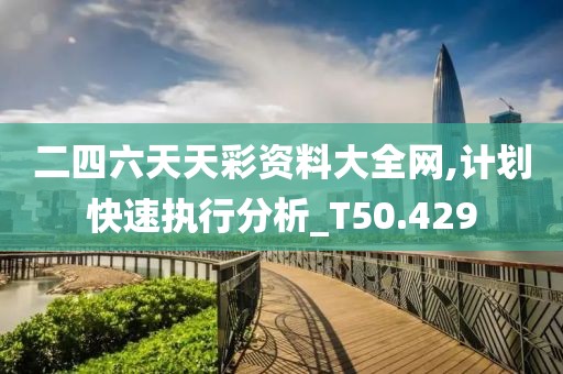 二四六天天彩资料大全网,计划快速执行分析_T50.429