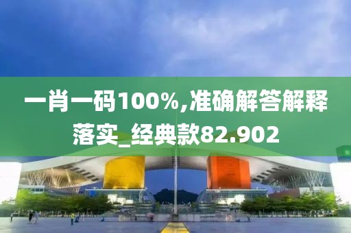 一肖一码100%,准确解答解释落实_经典款82.902