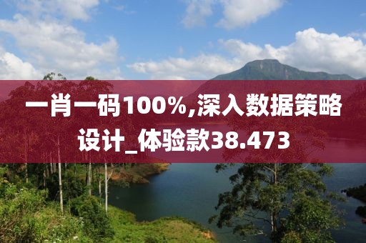 一肖一码100%,深入数据策略设计_体验款38.473
