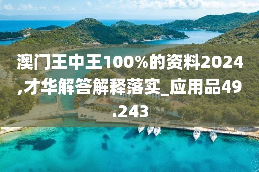 澳门王中王100%的资料2024,才华解答解释落实_应用品49.243