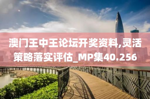 澳门王中王论坛开奖资料,灵活策略落实评估_MP集40.256