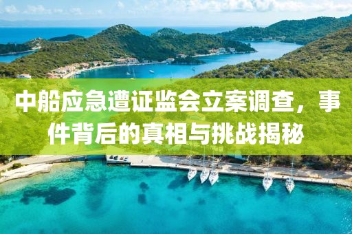 中船应急遭证监会立案调查，事件背后的真相与挑战揭秘