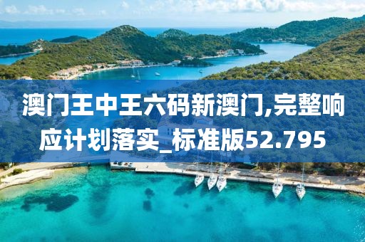 澳门王中王六码新澳门,完整响应计划落实_标准版52.795