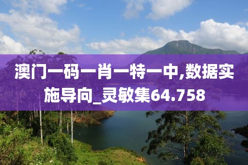 澳门一码一肖一特一中,数据实施导向_灵敏集64.758