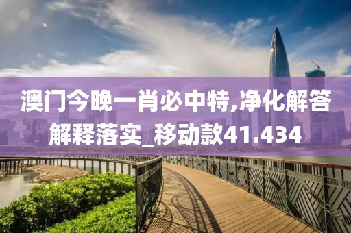 澳门今晚一肖必中特,净化解答解释落实_移动款41.434