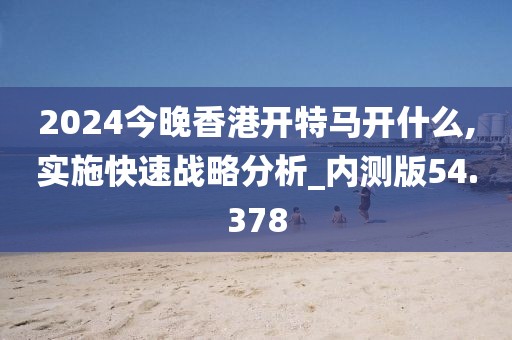 2024今晚香港开特马开什么,实施快速战略分析_内测版54.378
