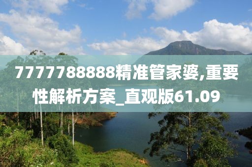 7777788888精准管家婆,重要性解析方案_直观版61.09