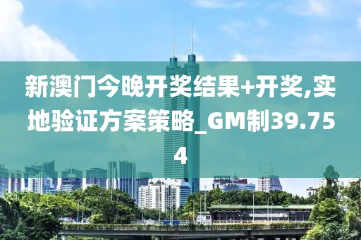新澳门今晚开奖结果+开奖,实地验证方案策略_GM制39.754