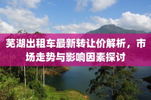 芜湖出租车最新转让价解析，市场走势与影响因素探讨