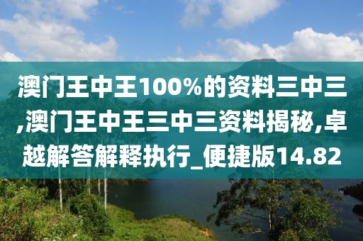 澳门王中王100%的资料三中三,澳门王中王三中三资料揭秘,卓越解答解释执行_便捷版14.82