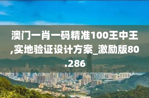 澳门一肖一码精准100王中王,实地验证设计方案_激励版80.286