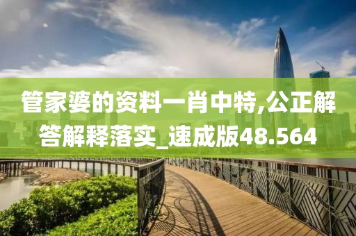 管家婆的资料一肖中特,公正解答解释落实_速成版48.564