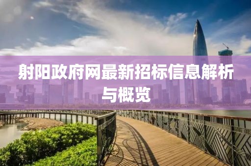 射阳政府网最新招标信息解析与概览