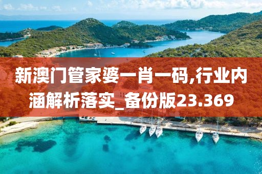 新澳门管家婆一肖一码,行业内涵解析落实_备份版23.369