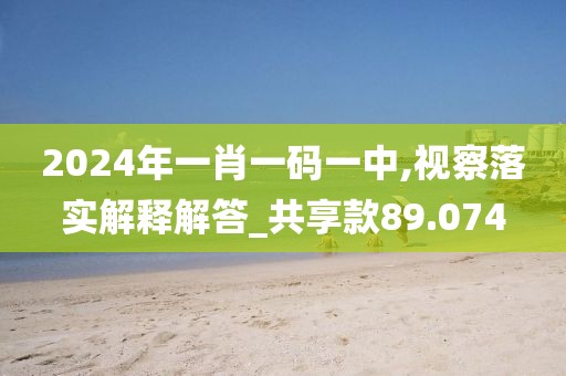 2024年一肖一码一中,视察落实解释解答_共享款89.074