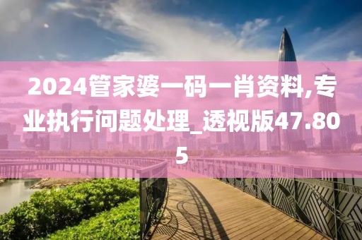 2024管家婆一码一肖资料,专业执行问题处理_透视版47.805