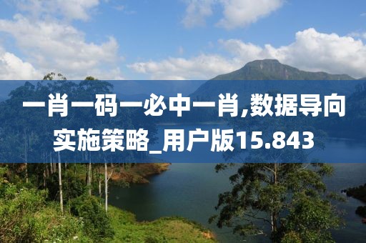 一肖一码一必中一肖,数据导向实施策略_用户版15.843