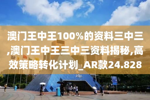 澳门王中王100%的资料三中三,澳门王中王三中三资料揭秘,高效策略转化计划_AR款24.828