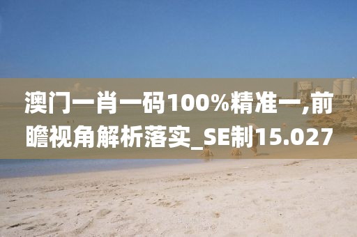 澳门一肖一码100%精准一,前瞻视角解析落实_SE制15.027