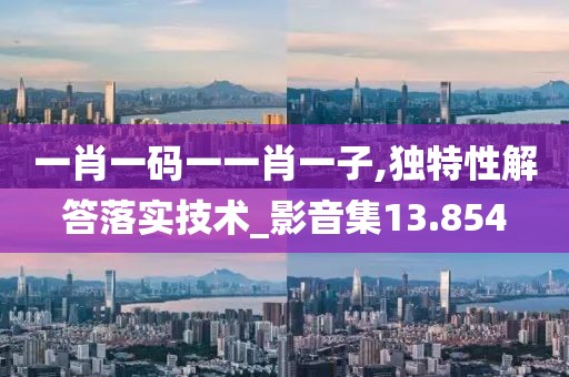 一肖一码一一肖一子,独特性解答落实技术_影音集13.854